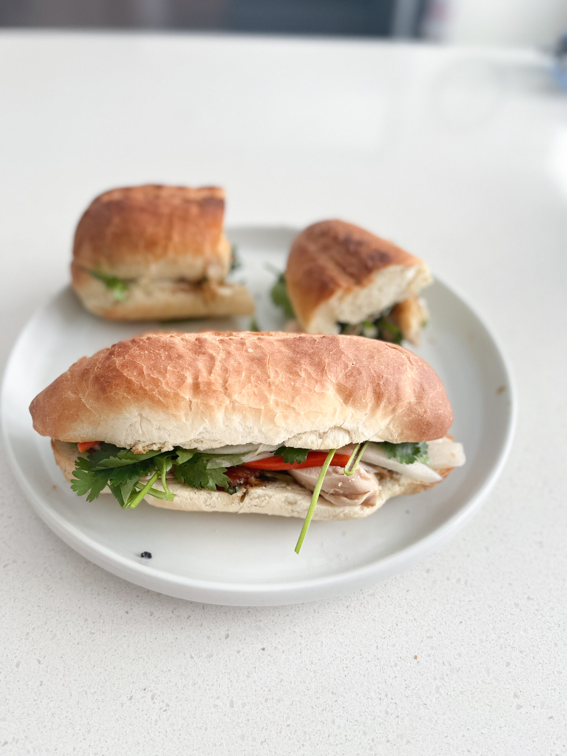 Vietnamese Banh Mi