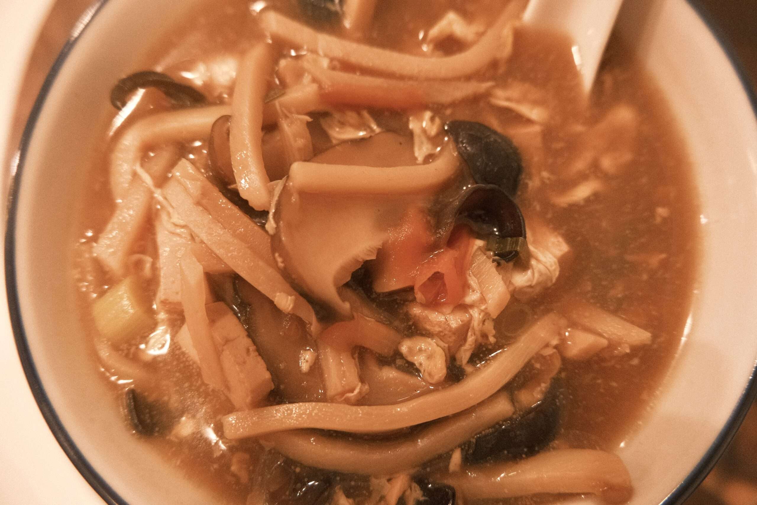 close up shot of hot and sour soup