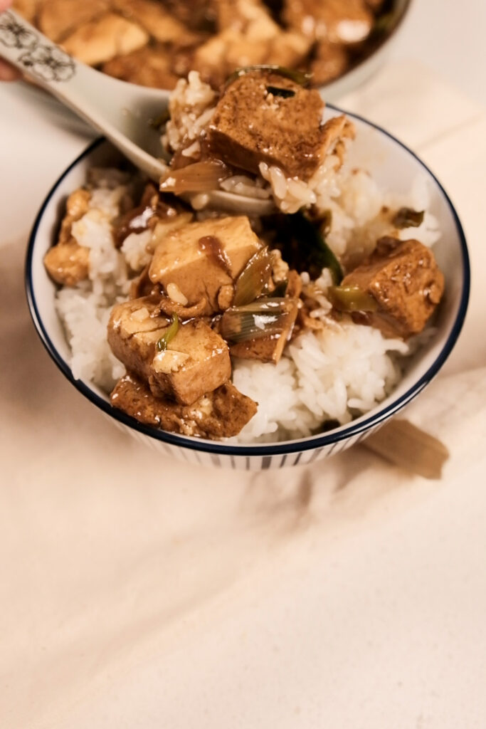 Braised tofu with rice