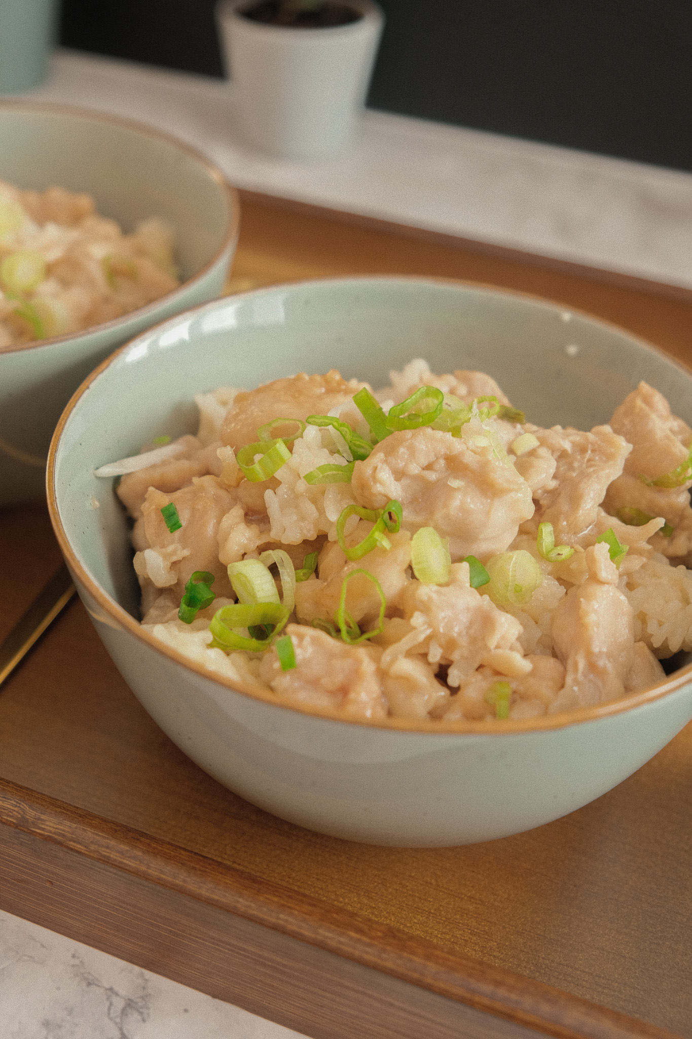 coconut chicken rice
