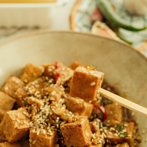 Air fryer crispy tofu on a stick