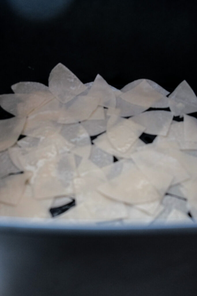 dumpling wrappers in air fryer